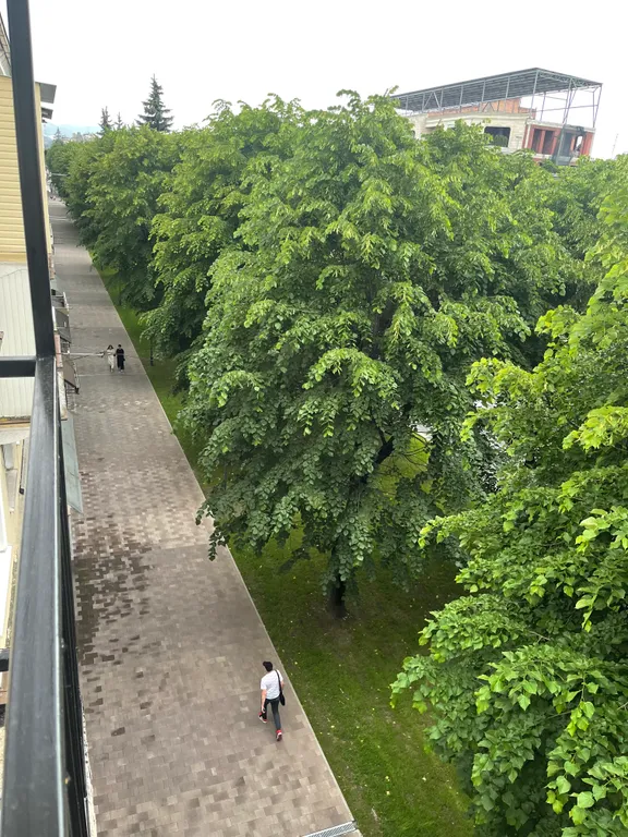 Квартира в центре