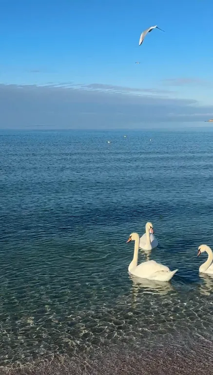 Уютный апартамент в ста метрах от песчаного пляжа