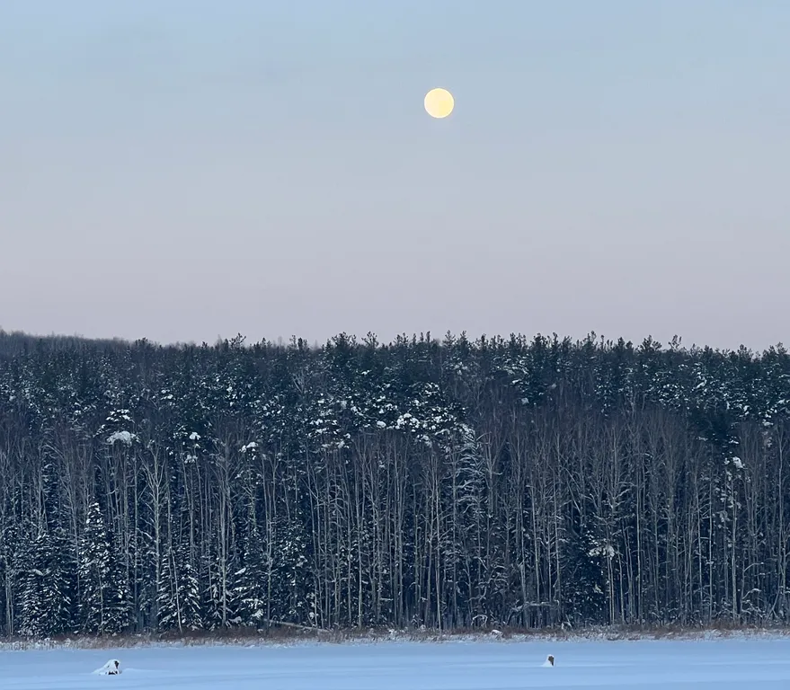 Дом 7 в лесу у реки