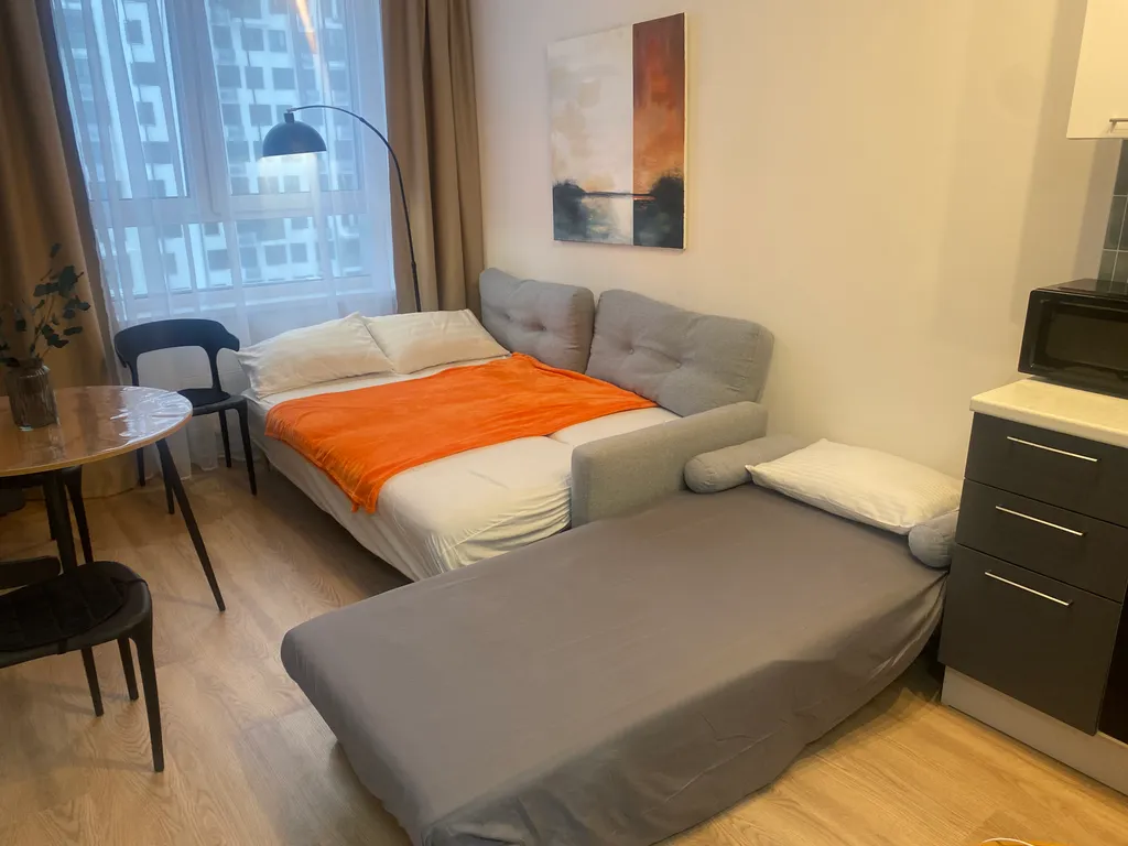 Красивая евродвушка в новом самолете