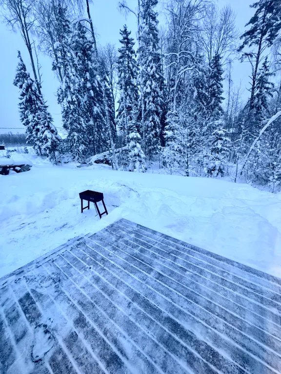 Уютный домик с панорамным окном и видом на лес