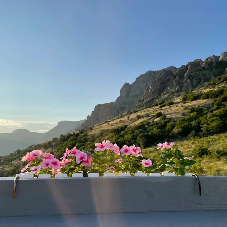 Коттедж Домик в горах Cherrychillvillage — Лучистое