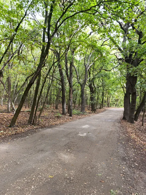 Уютный дом в хвойном саду на Кумысной поляне