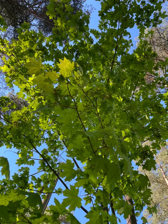 Соловьевка Villa