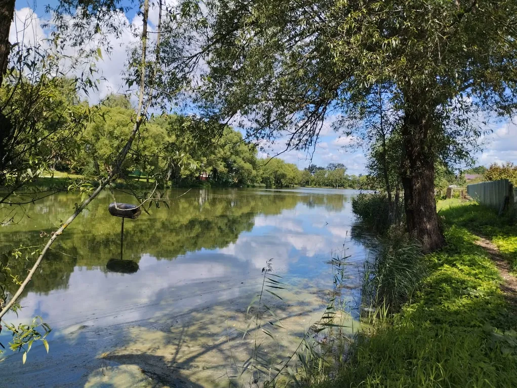 Уютный дом для отдыха в Орудьево