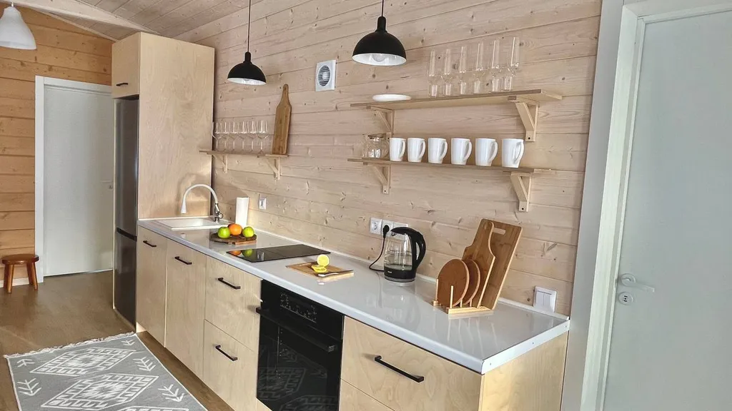 Уютный барнхаус в скандинавском стиле у горнолыжного курорта Сорочаны