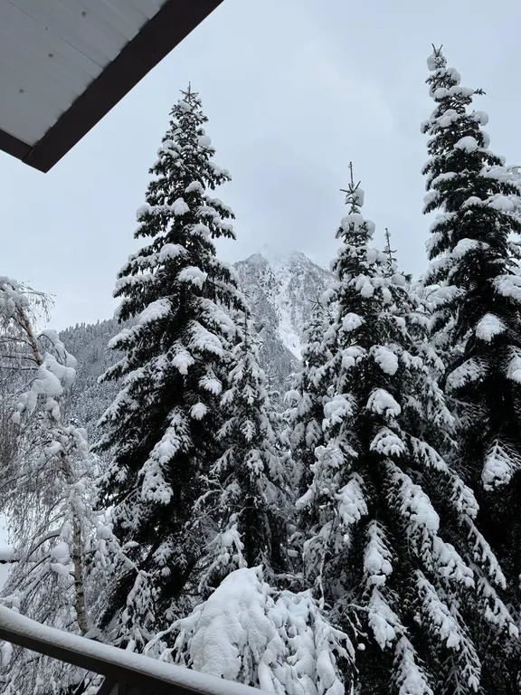 Уютный номер