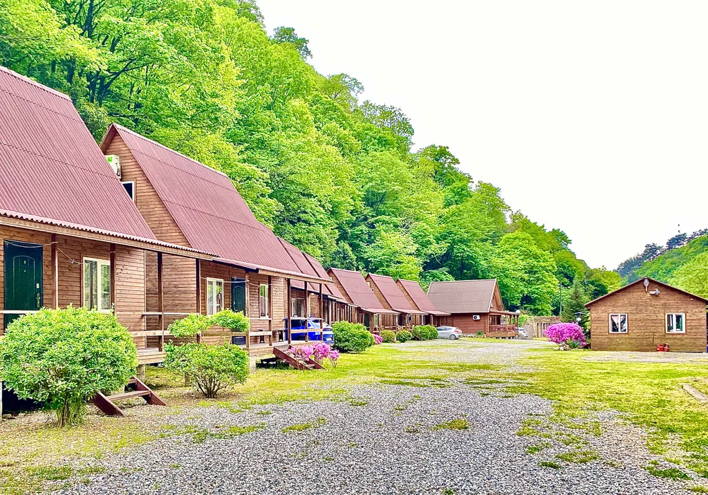 Коттедж Дом Holiday Park — Гагра