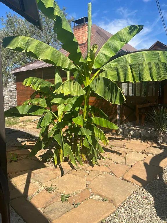 Домик у реки Дах с видом на горы