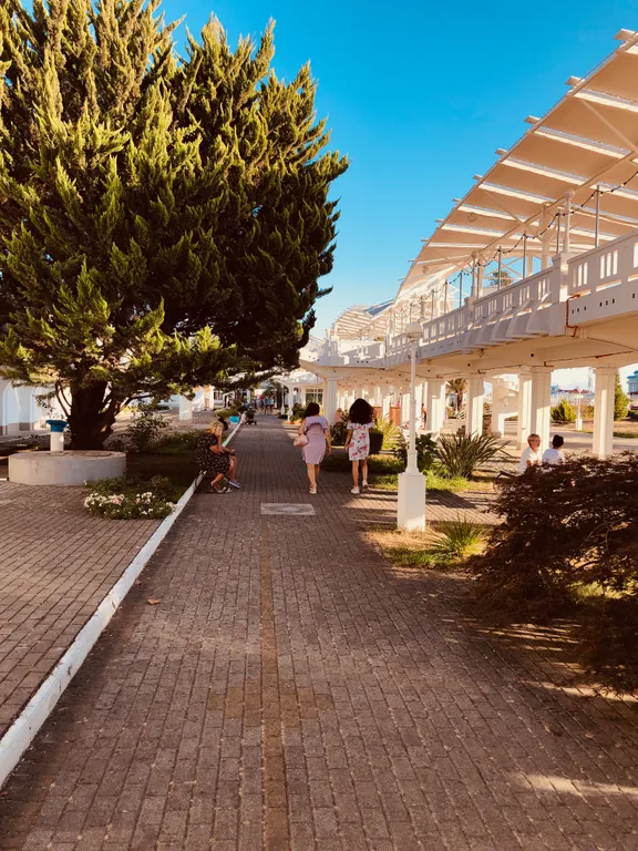 Квартира Апартаменты Светлана-Центр с видом на сад магнолий — Сочи