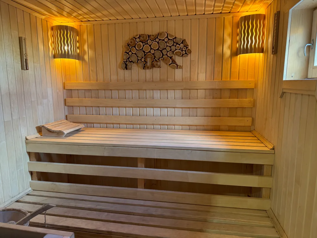 Дом с баней, караоке, PlayStation и Алисой на берегу моря