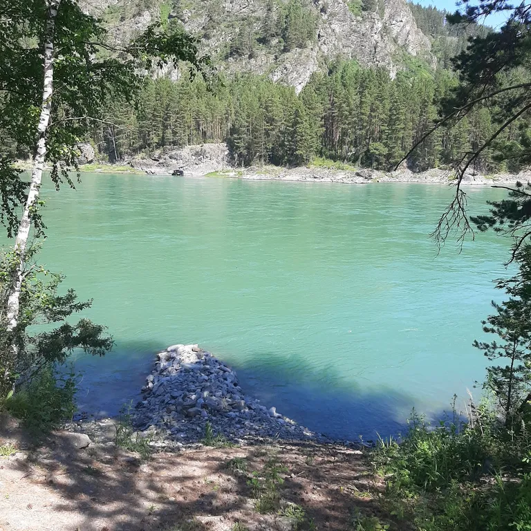 Гостевой дом Кедровое подворье рядом с рекой Катунь