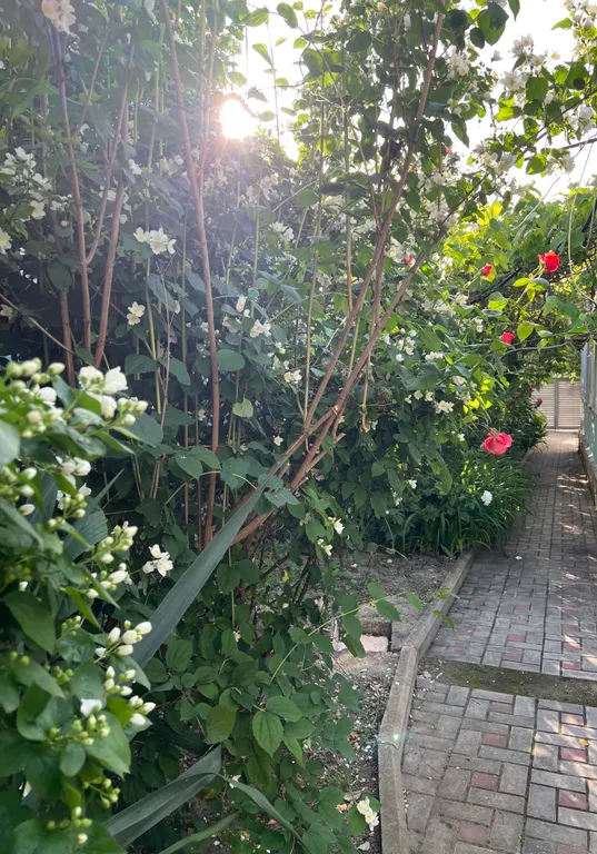 Уютный дом в центральном районе Геленджика