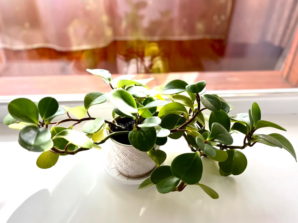 Апартаменты на Заставе