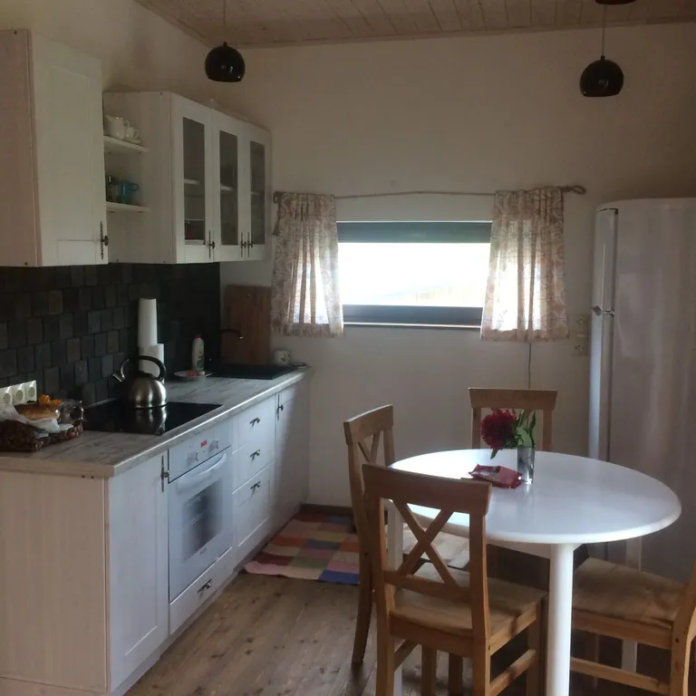 Эко-коттедж в центре Несвижа