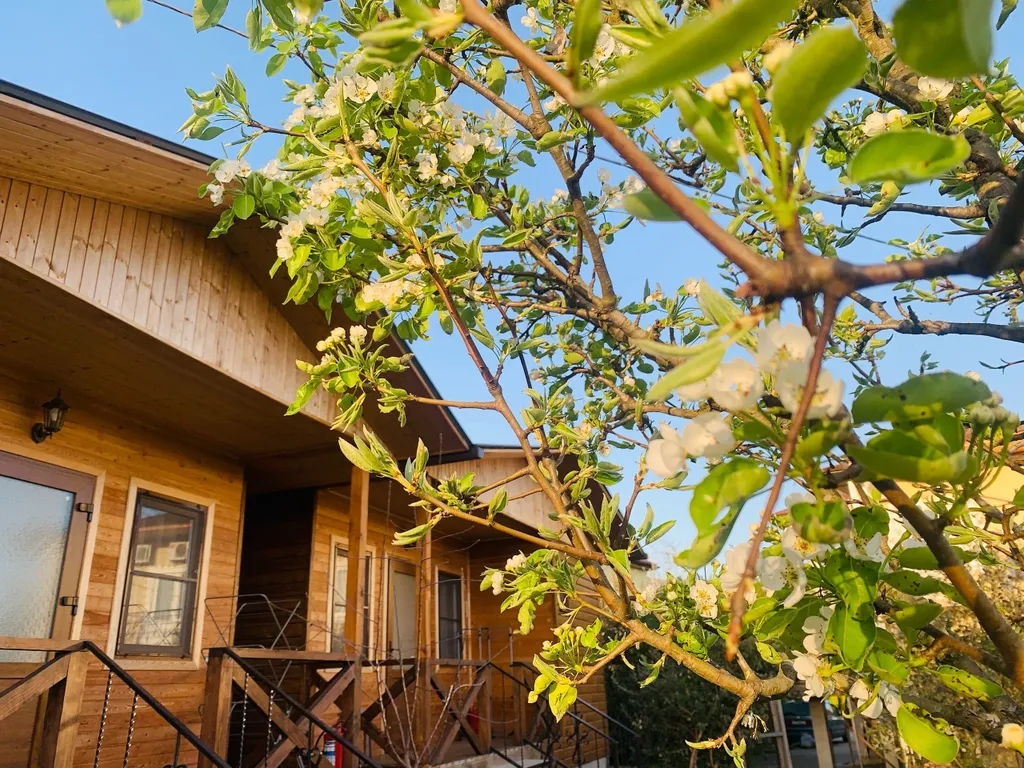 Домик 1-комнатный 3-местный