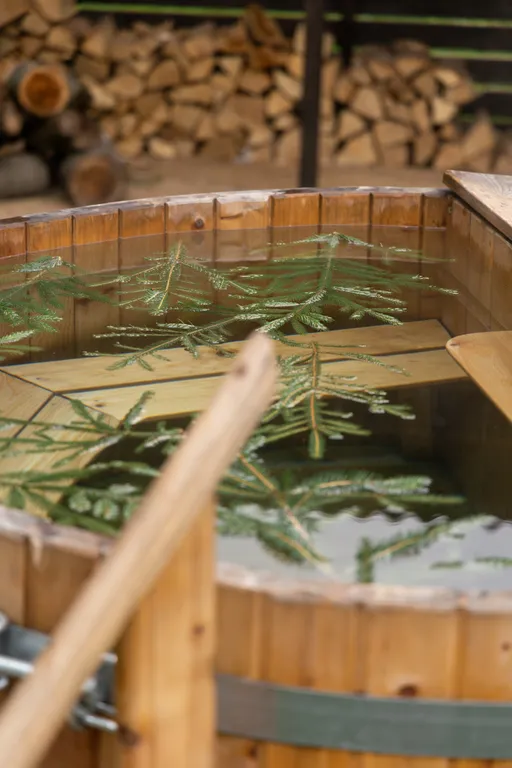 Papino village blue домик рядом с водопадом и лесом