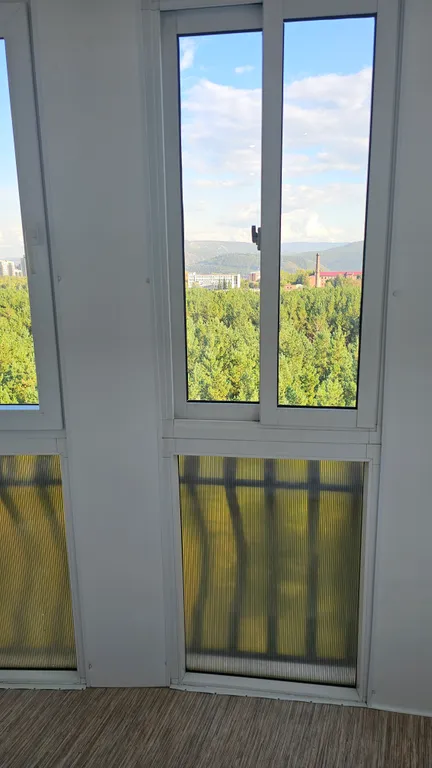 1к люкс в сосновом бору