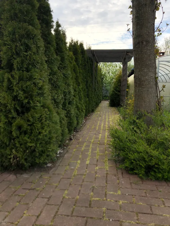 Коттедж Уютный дом у моря — Зеленоградск