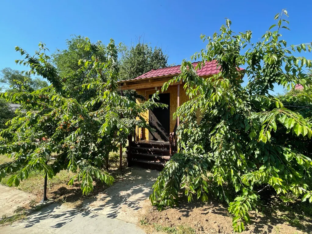 Рыболовная база Хижина рыбака Аргунка