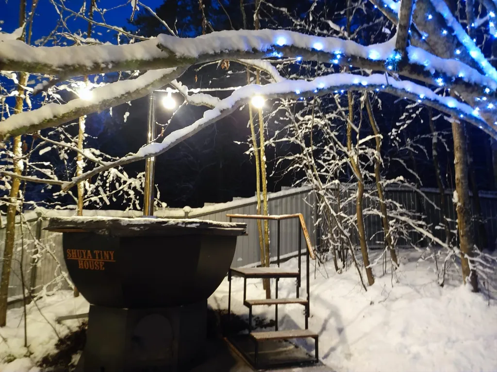 Коттедж Коттедж Shuya Tiny House 2 — Петрозаводск