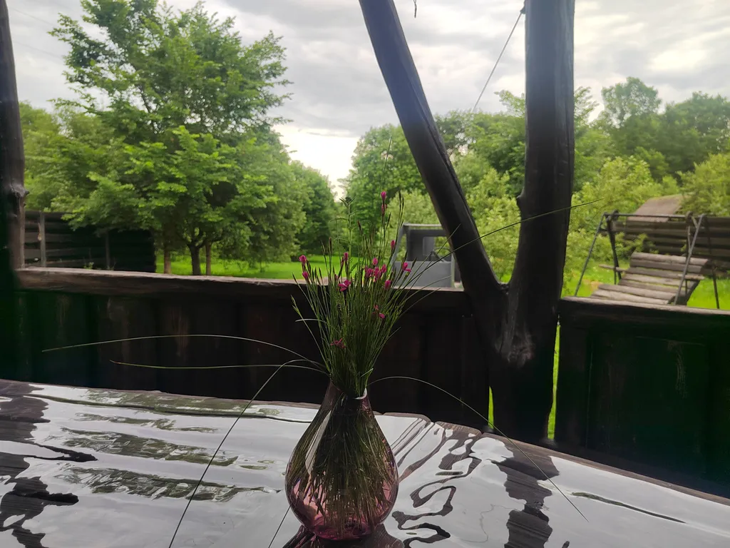 Усадьба седьмое небо банкетный зал до 16 человек с баней под полоцком