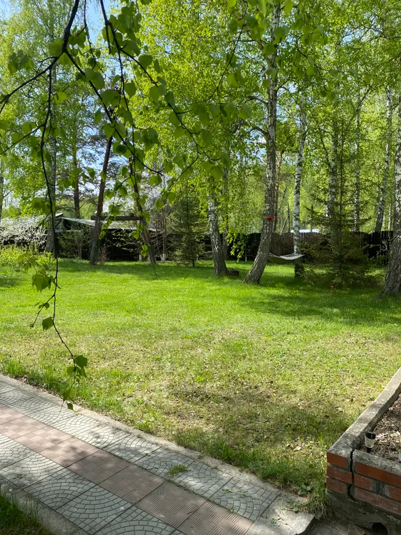 Гостевой дом в лесу