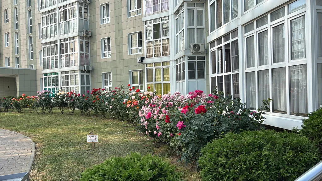 Квартира Уютная квартира в спокойном районе — Анапа