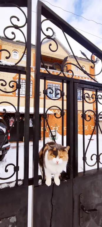 Гостевой домъ Обломовъ с видом на Волгу