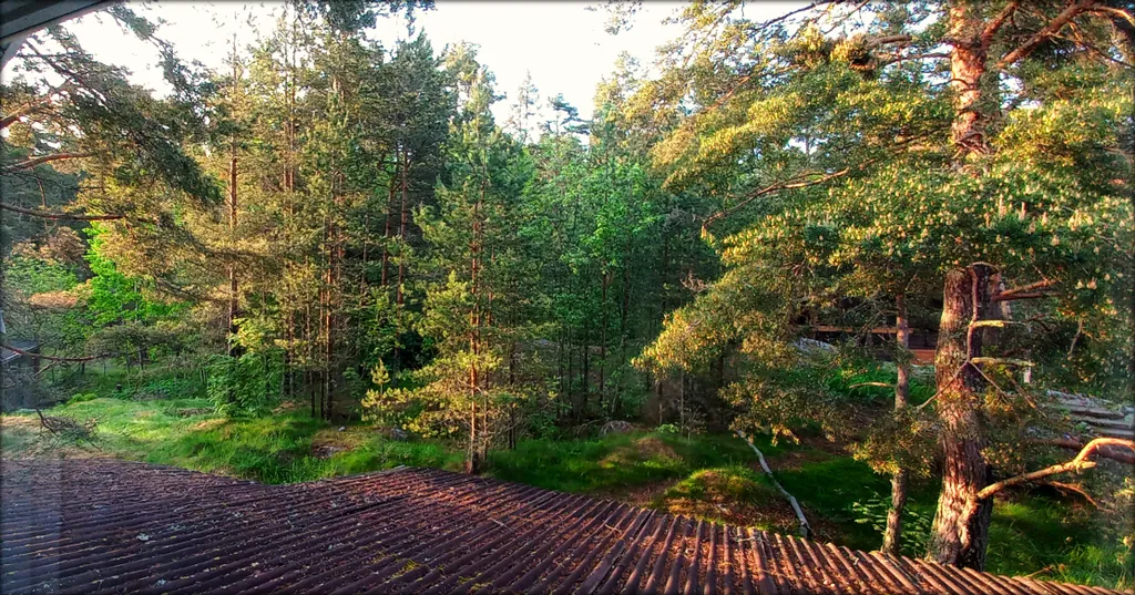 Природная гармония Приладожья