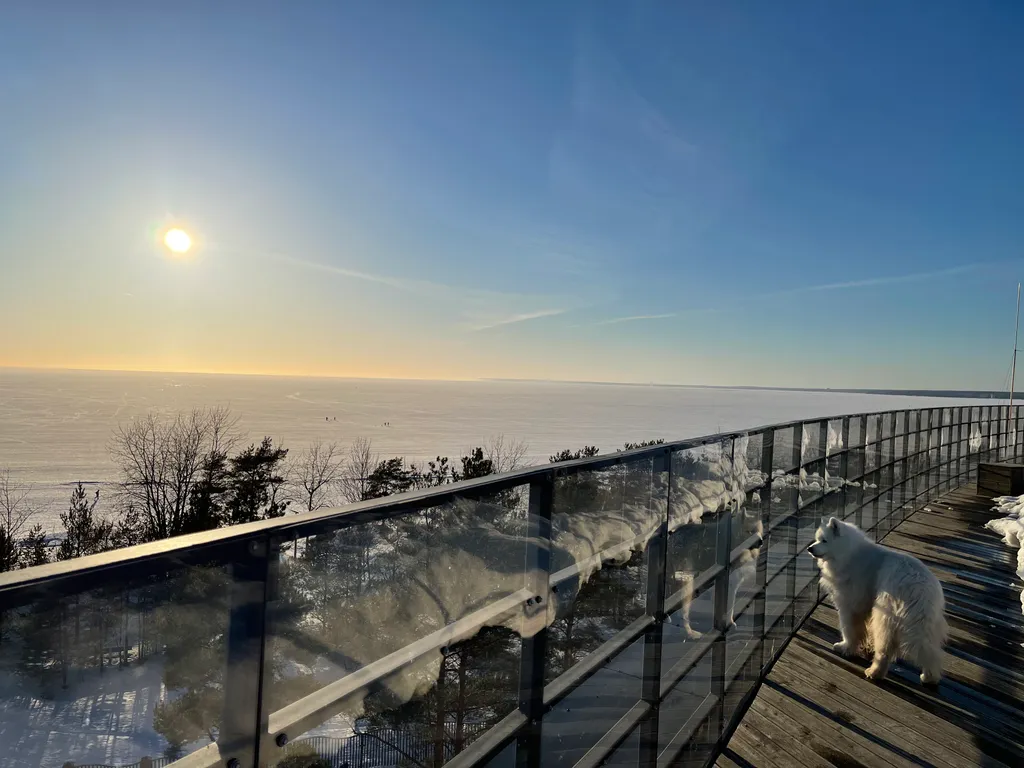 Уютная квартира у Финского залива