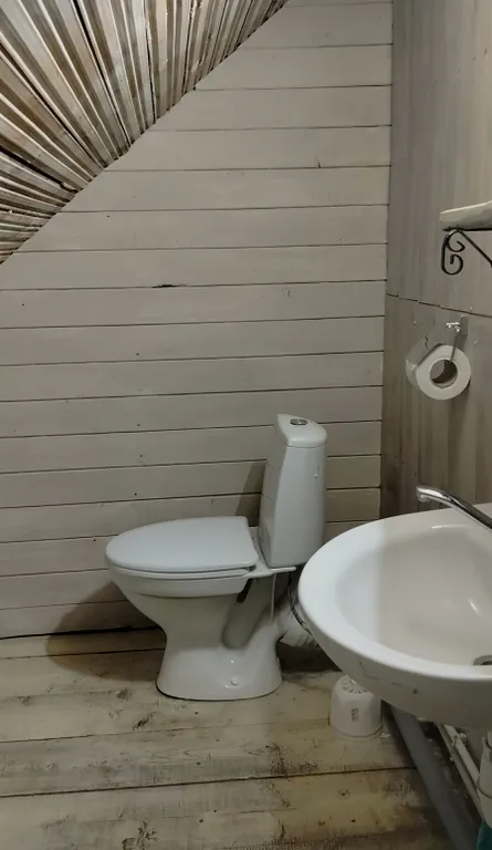 Коттедж Гостеприимный дом Викинг для большой компании — Советский