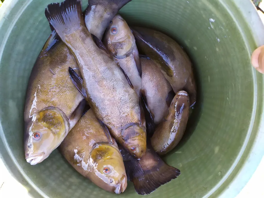 Коттедж Дом на Селигере с причалом 14 — Могилево