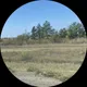 Зульфия