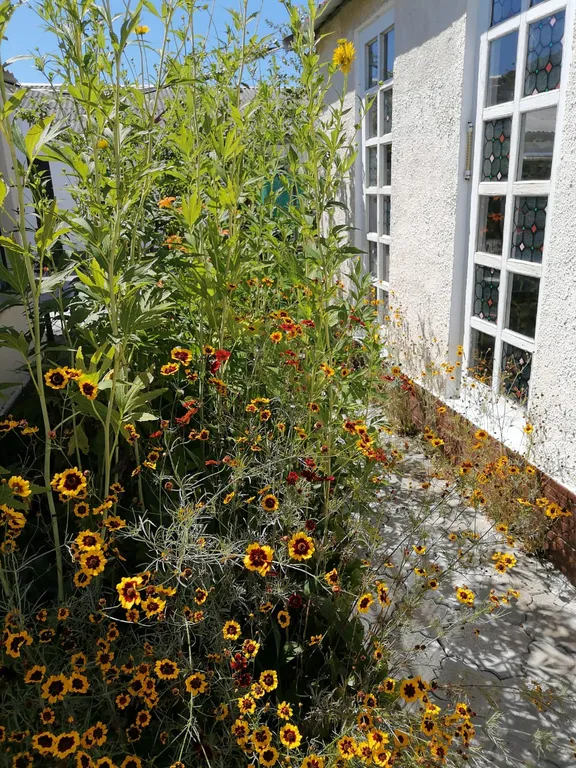 Отдельный домик