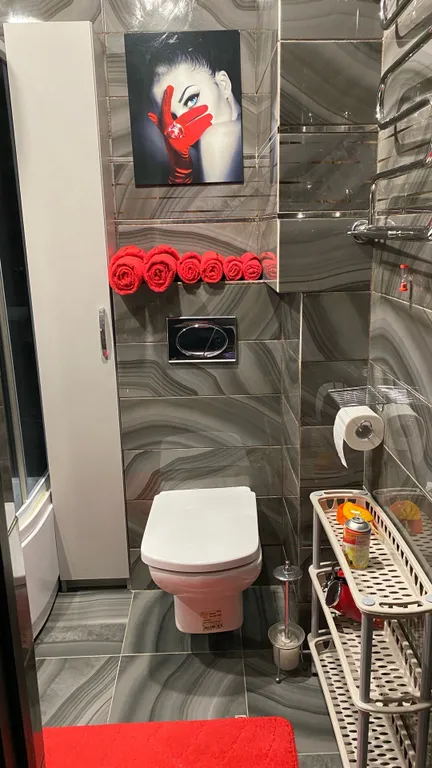 Уютные апартаменты с красивым видовыми характёристиками в центре город