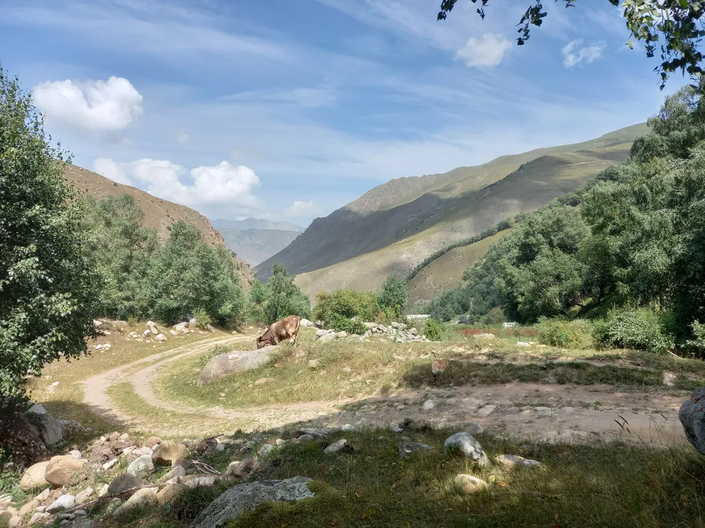 Домик в горах