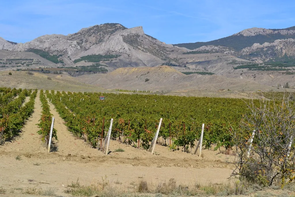 Уютный коттедж с бассейном с морской водой