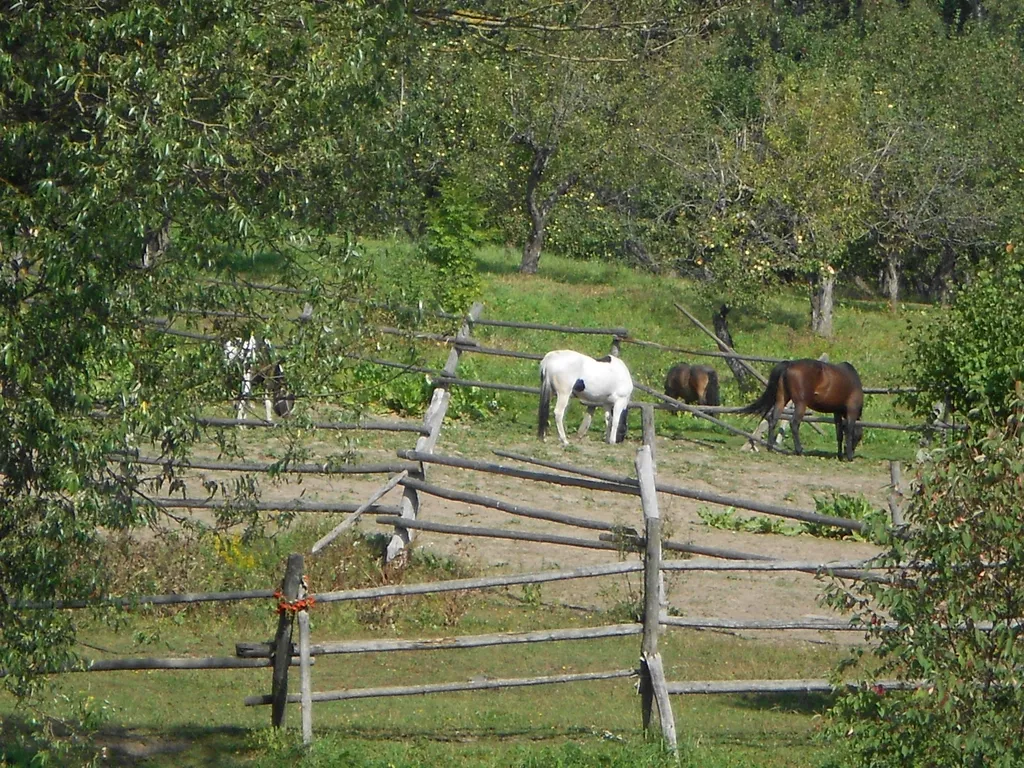 Гостевой домик в Ясной Поляне