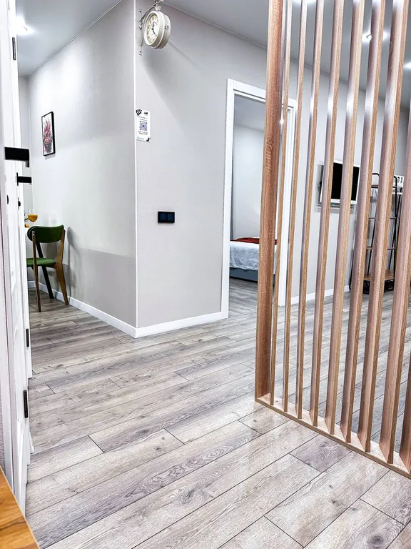 Просторный апартамент, можно с животными