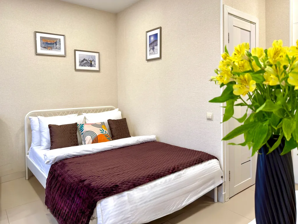 №29 студия Делюкс