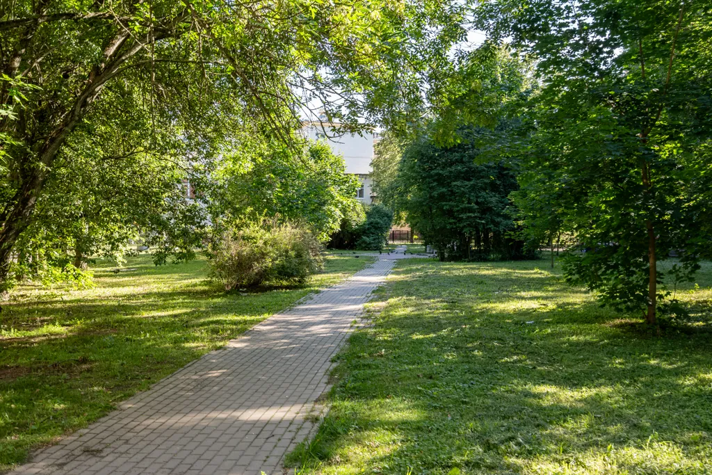 Квартира Red Lines