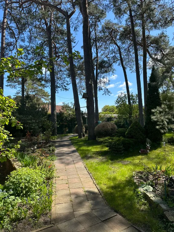 Сказочный домик в лесу, у моря