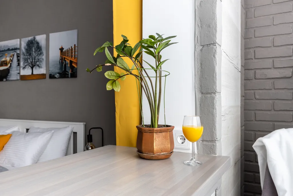 Уютная студия с дизайнерским ремонтом