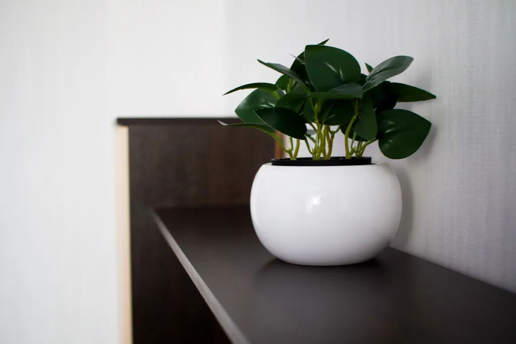 Красивая и уютная студия