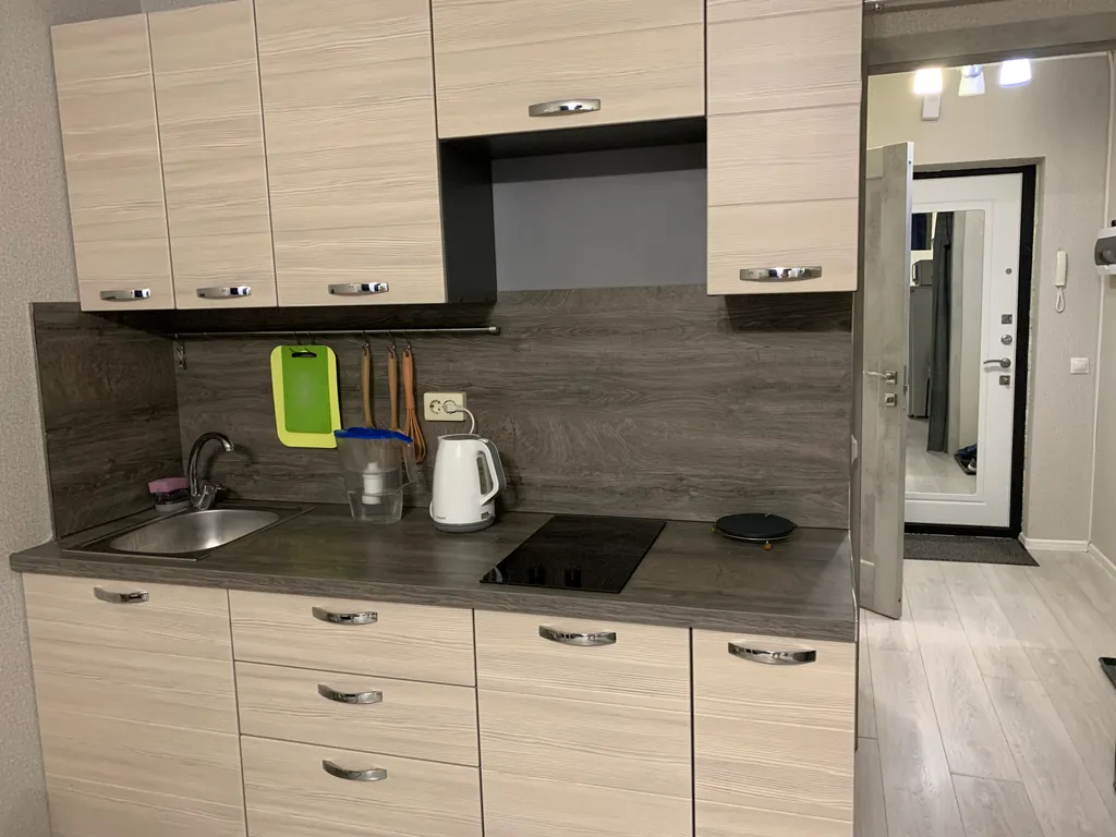 Студия у метро Девяткино