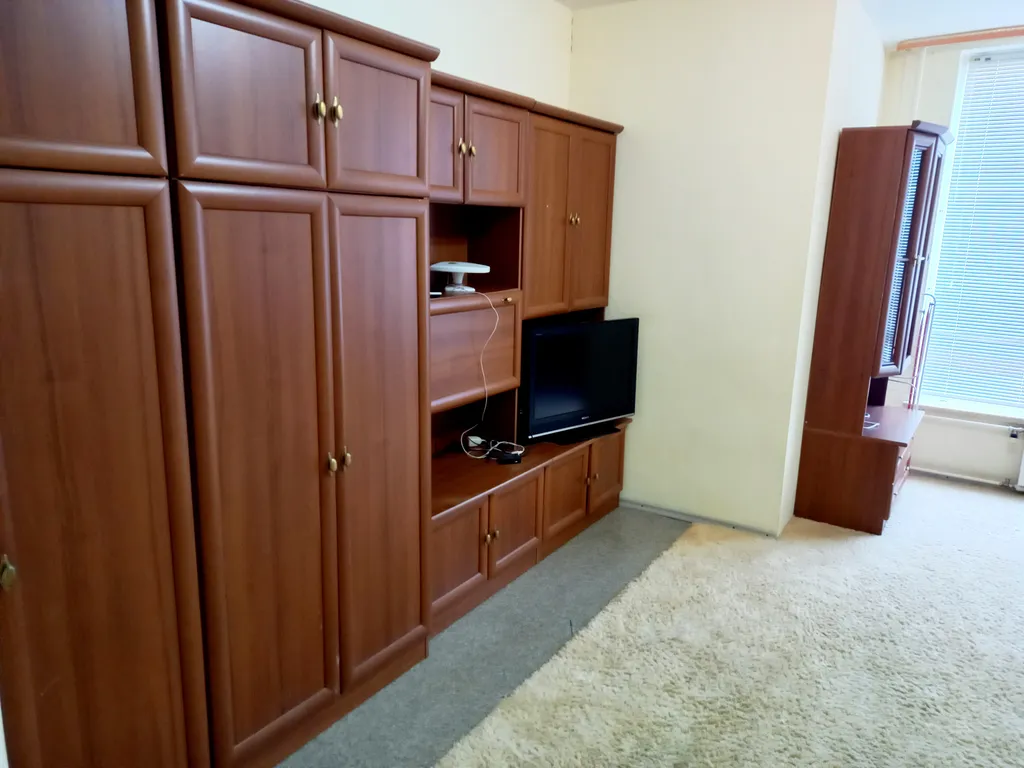 Просторная однокомнатная квартира в центре города