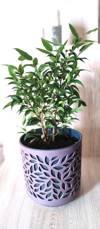 Квартира Чистая и уютная квартира с видом на море — Севастополь