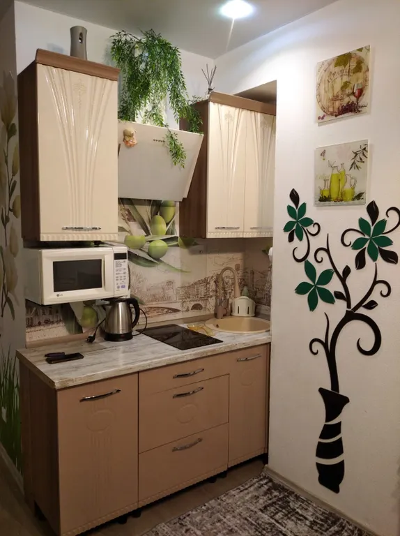 Квартира Квартира Просторная комфортная уютная студия с прекрасным видом на берег Волги — Тверь