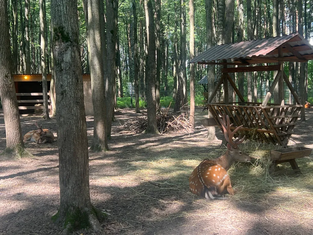 3-комнатный Дом